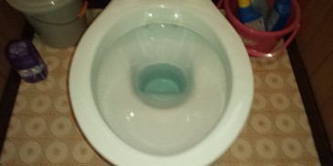 綺麗になった便器