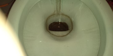便器に出来た輪ジミ