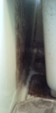 エプロン内部の写真その2