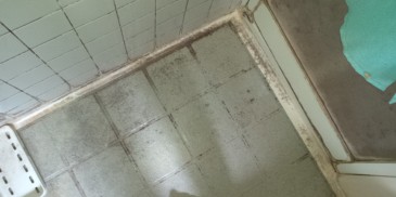 お掃除前のお風呂場　の床