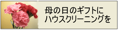 母の日ギフトにハウスクリーニングを